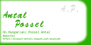 antal possel business card